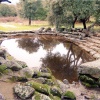 Su Romanzesu - l'anfiteatro collegato al pozzo